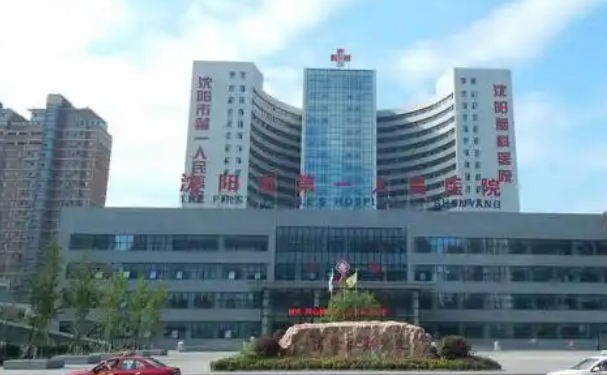 沈陽市第一人民醫(yī)院沈東醫(yī)院